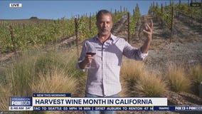 Harvest wine month in California