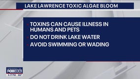 Health advisory: Toxic algae bloom in Lake Lawrence