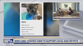 Beer label contest aims to support local shelter pets