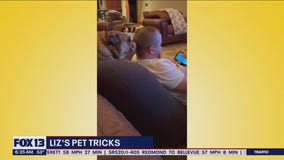 Liz's Pet Tricks for Friday, June 16