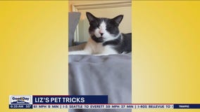 Pet Tricks for Thursday, July 13