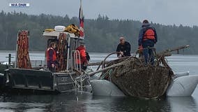 Abandoned boats pose environmental, financial challenges in WA