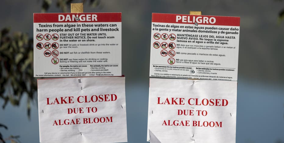 Toxic algae warning issued for Ocean Shores waterways