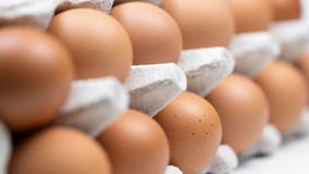 Why are egg prices soaring? Here's what experts say