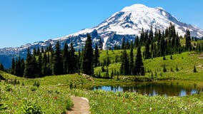 Mount Rainier National Park accepting public comment on timed reservations