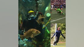 OL Reign's Goalie finds passion both on the field, and underwater