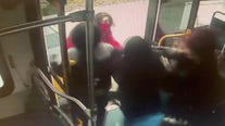 Horrific case of juvenile crime caught on camera in West Seattle