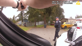 Bodycam: Pierce County Deputy shoots car thief suspect in the back